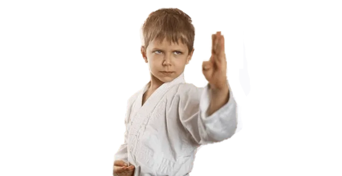 Junior Martial Arts