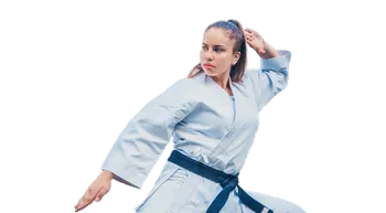 Adult Martial Arts