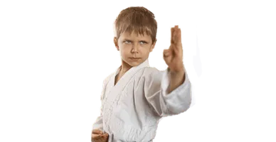Junior Martial Arts